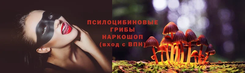 сколько стоит  Райчихинск  KRAKEN зеркало  Галлюциногенные грибы Psilocybe 